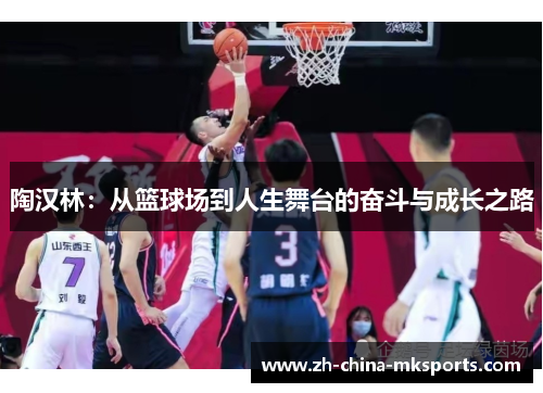 陶汉林:从篮球场到人生舞台的奋斗与成长之路 陶汉林:从篮球场到人生舞台的奋斗与成长之路